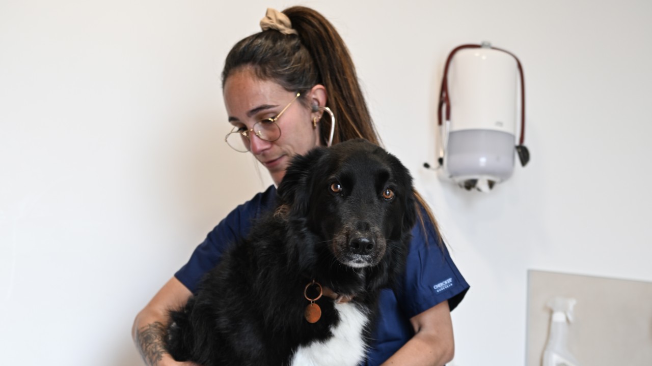Dr Dejean en consultation
